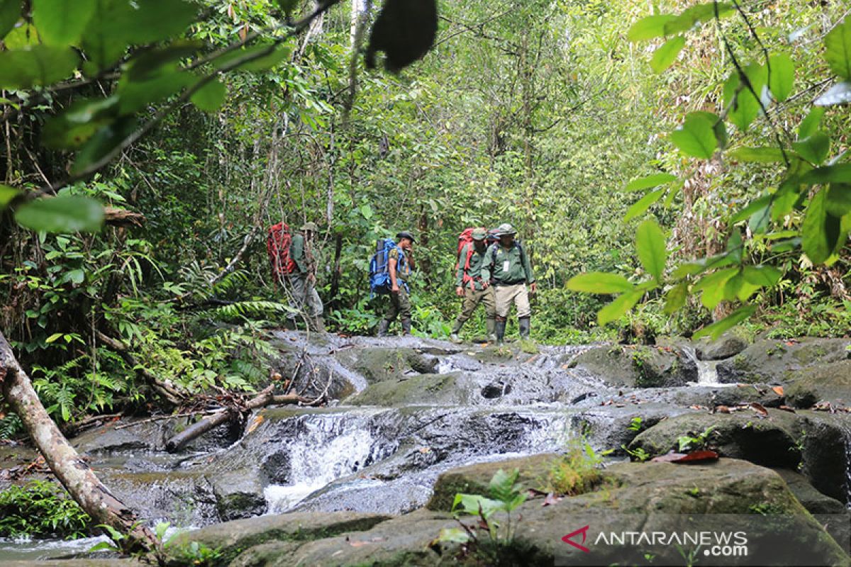 Kaltim usulkan 491.000 ha Wehea-Kelay jadi kawasan strategis provinsi