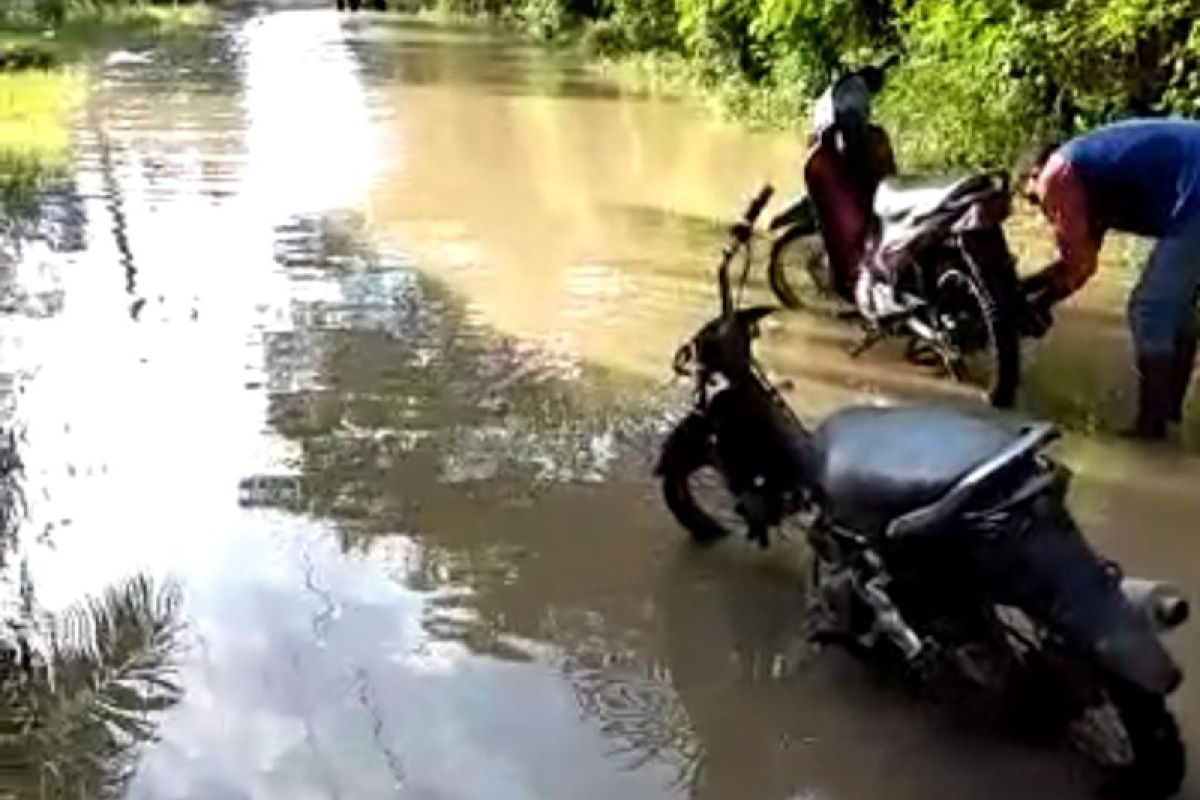 BPBD: Ratusan warga Aceh Timur terdampak banjir