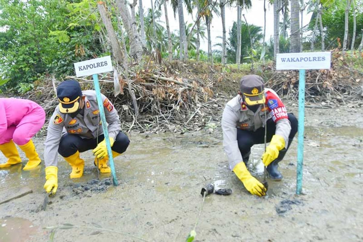 Polres Aceh Timur tanam mangrove di sepanjang pesisir pantai