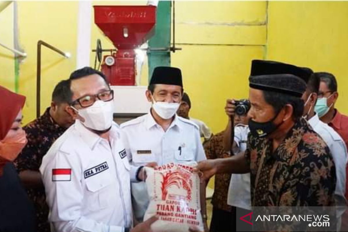 Siasati rawan pangan, Pemkab Tanah Datar bangun lumbung berkapasitas 60 ton