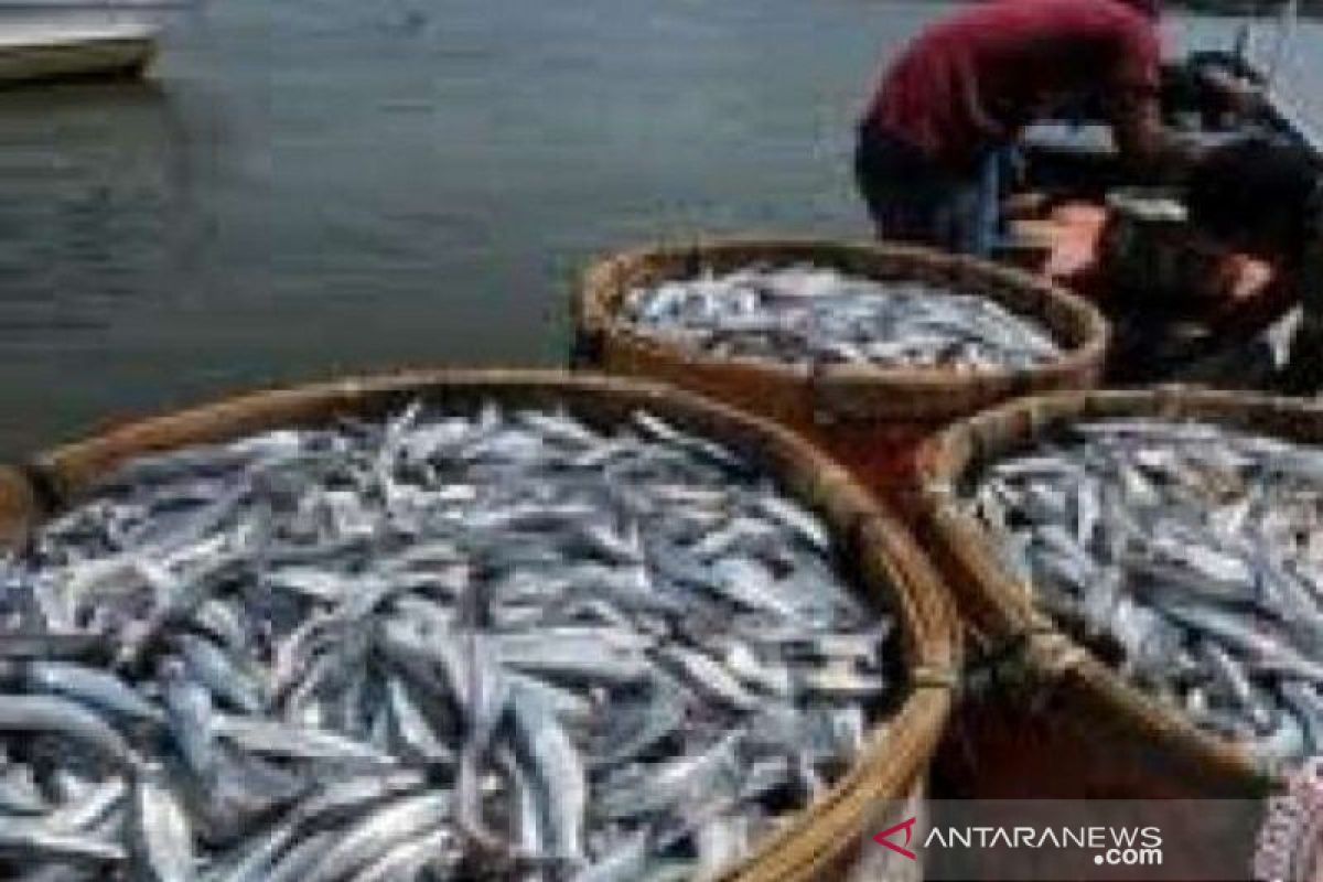 Wagub Riau minta pegawai budidayakan ikan di lahan terbatas