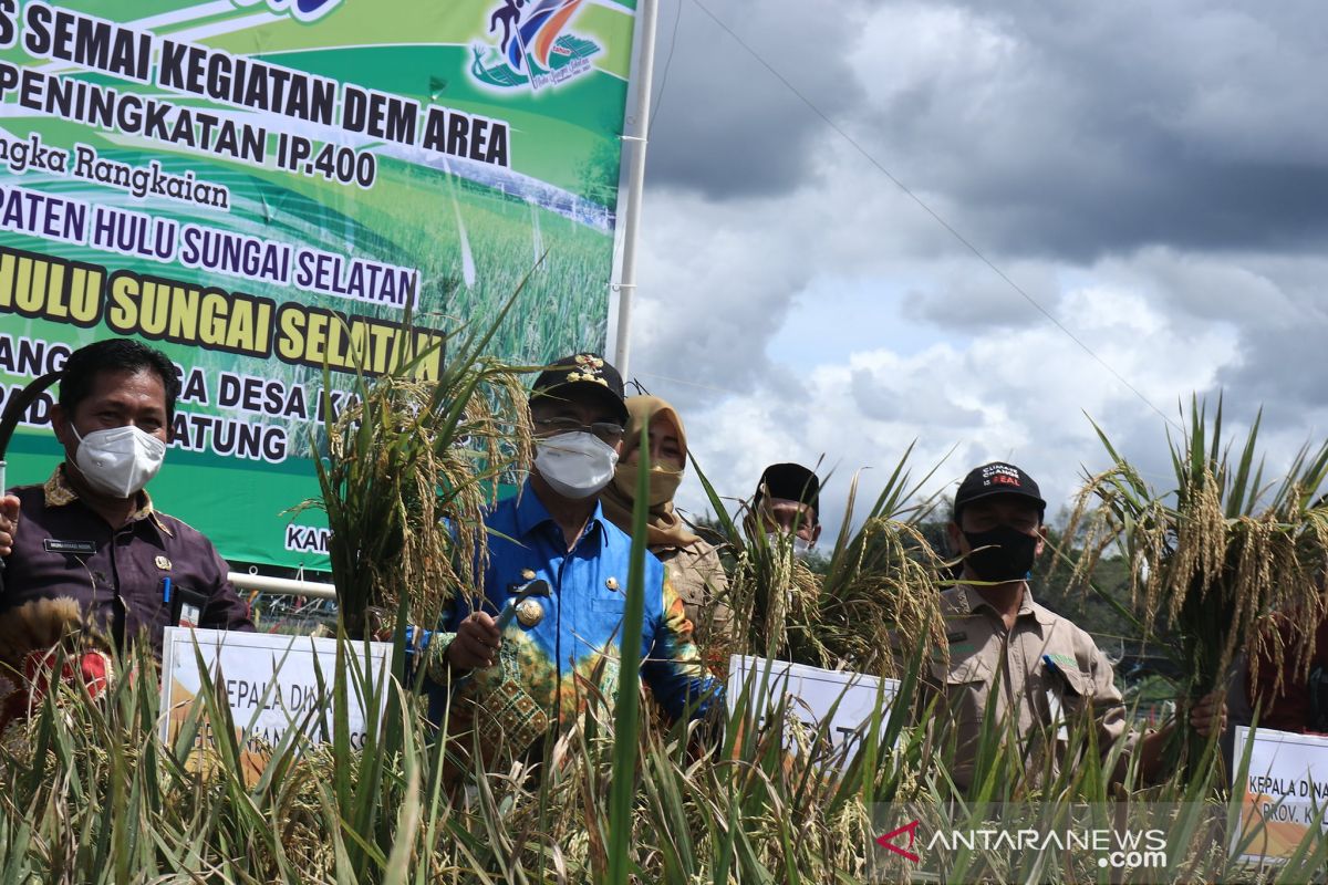 Bupati HSS hadiri syukuran padi Poktan Simpang Sanga Desa Kaliring