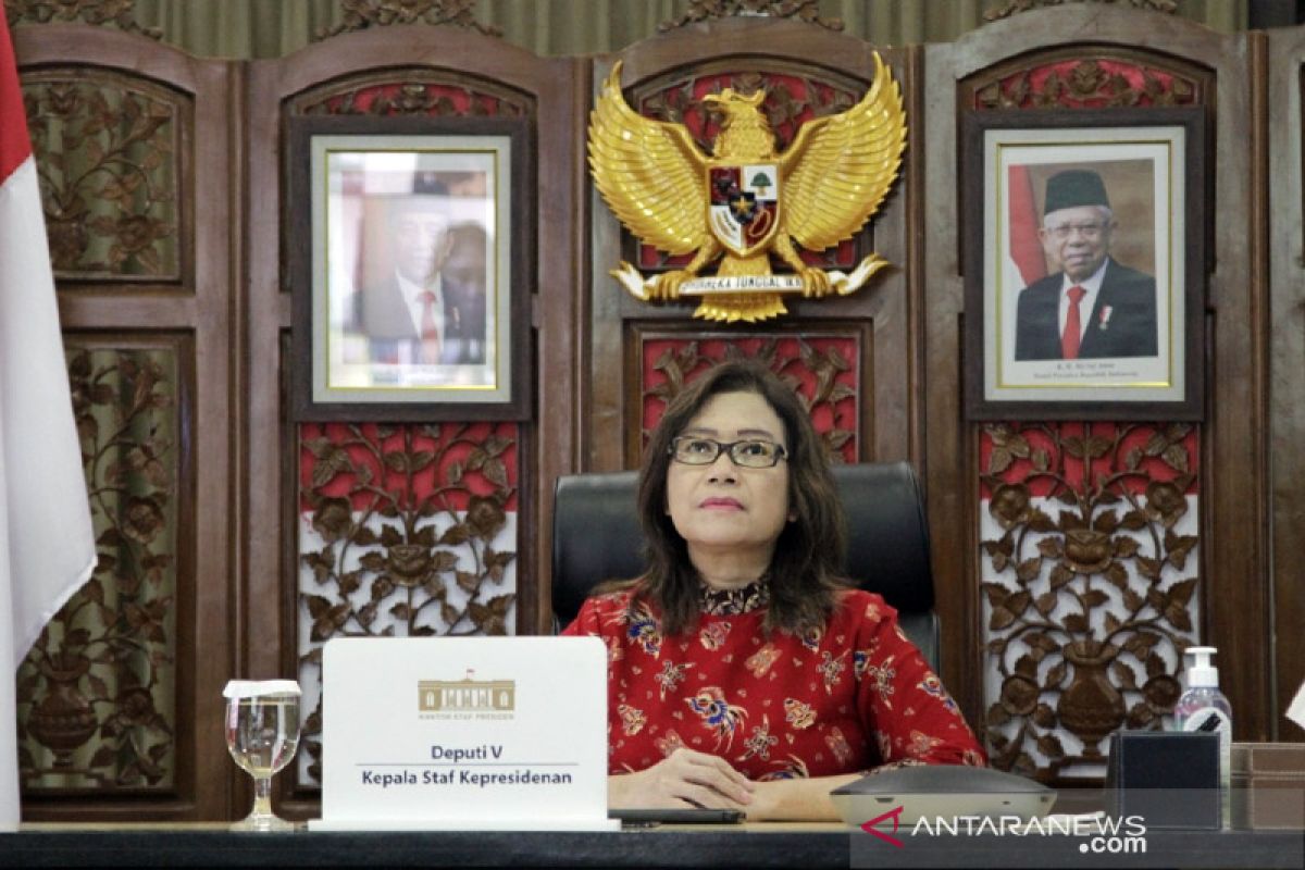 Deputi V KSP: Pengesahan RUU TPKS sangat esensial