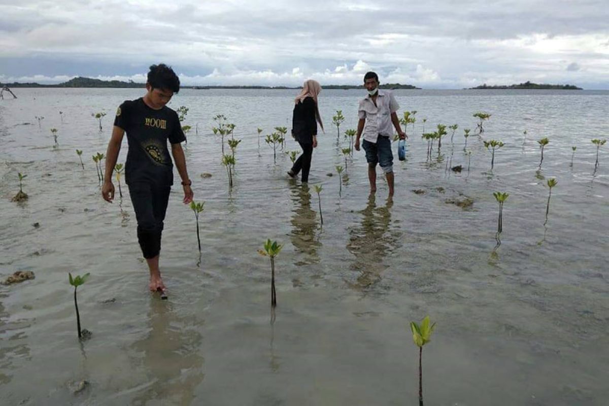 Aktivis lingkungan Pulau Simeulue raih Kalpataru