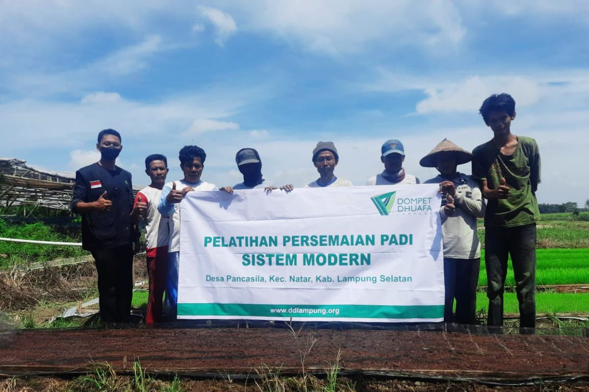 Dompet Dhuafa Lampung gelar pelatihan persemaian padi sistem modern