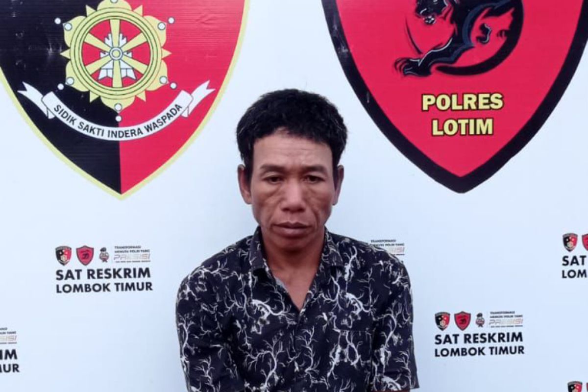 Maling rakus di Lombok Timur, dua HP dan 9 ekor ayam diembat