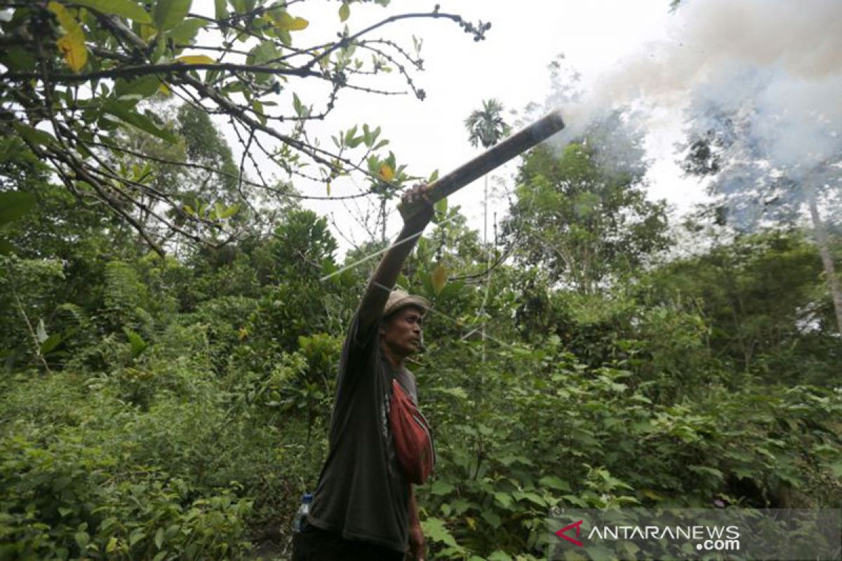 BKSDA pasang 59.000 meter power fancing di daerah konflik gajah