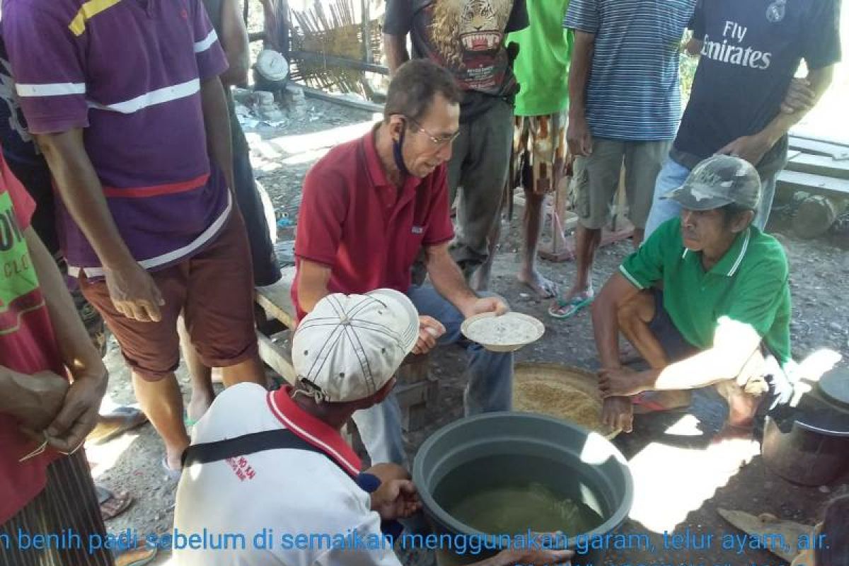 Dua tahun sekolah lapangan, SDM Petani NTT meningkat signifikan