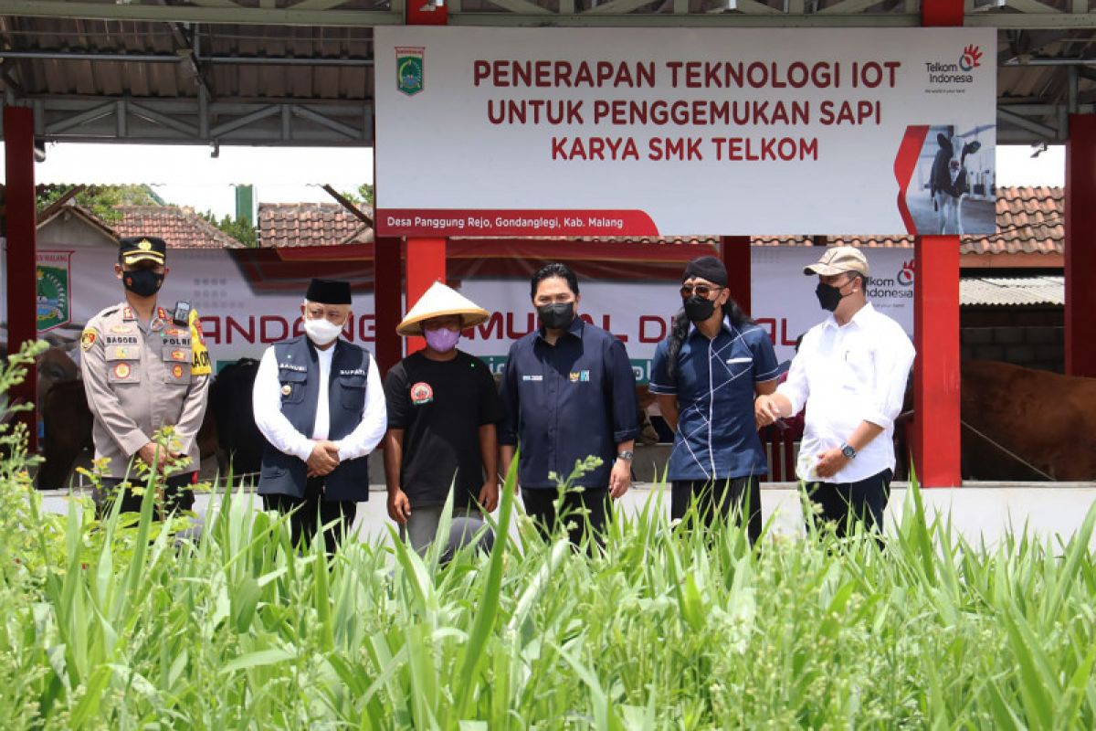 Kata Erick, Teknologi digital di sektor peternakan dorong produktivitas