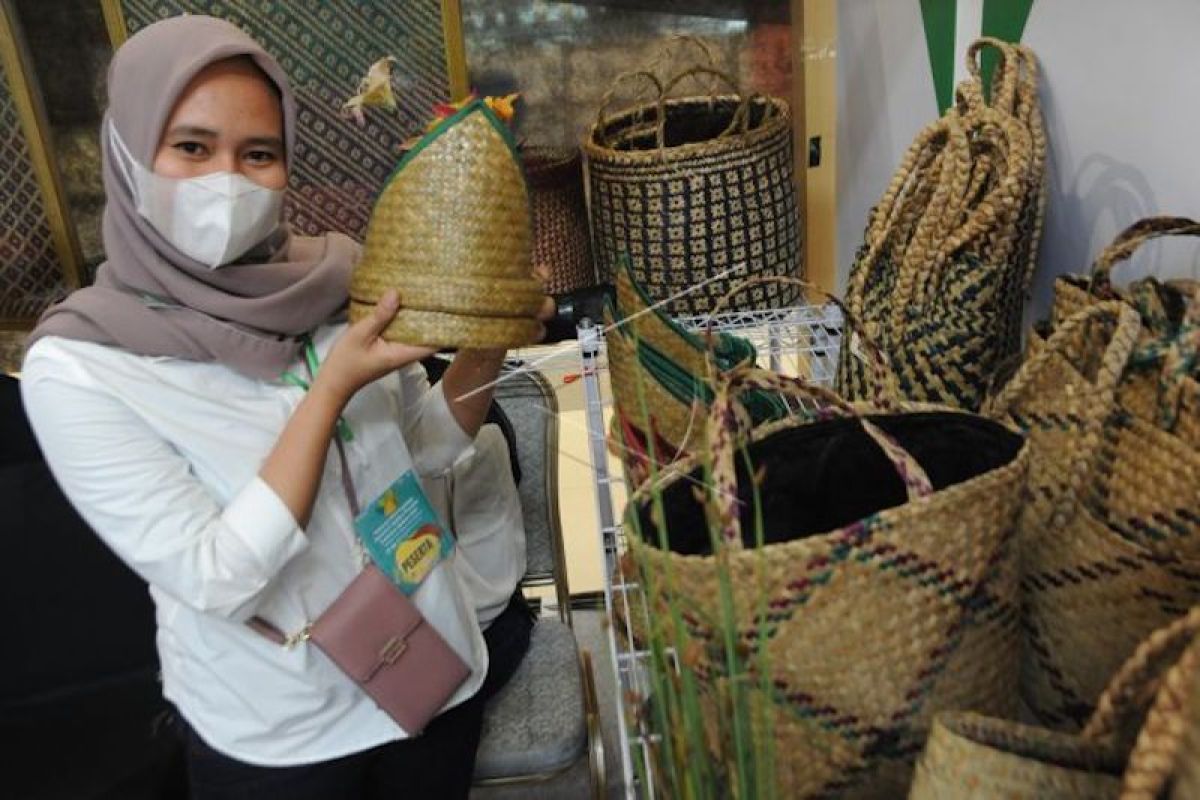 Sumsel minta dukungan berbagai pihak dalam kegiatan restorasi gambut