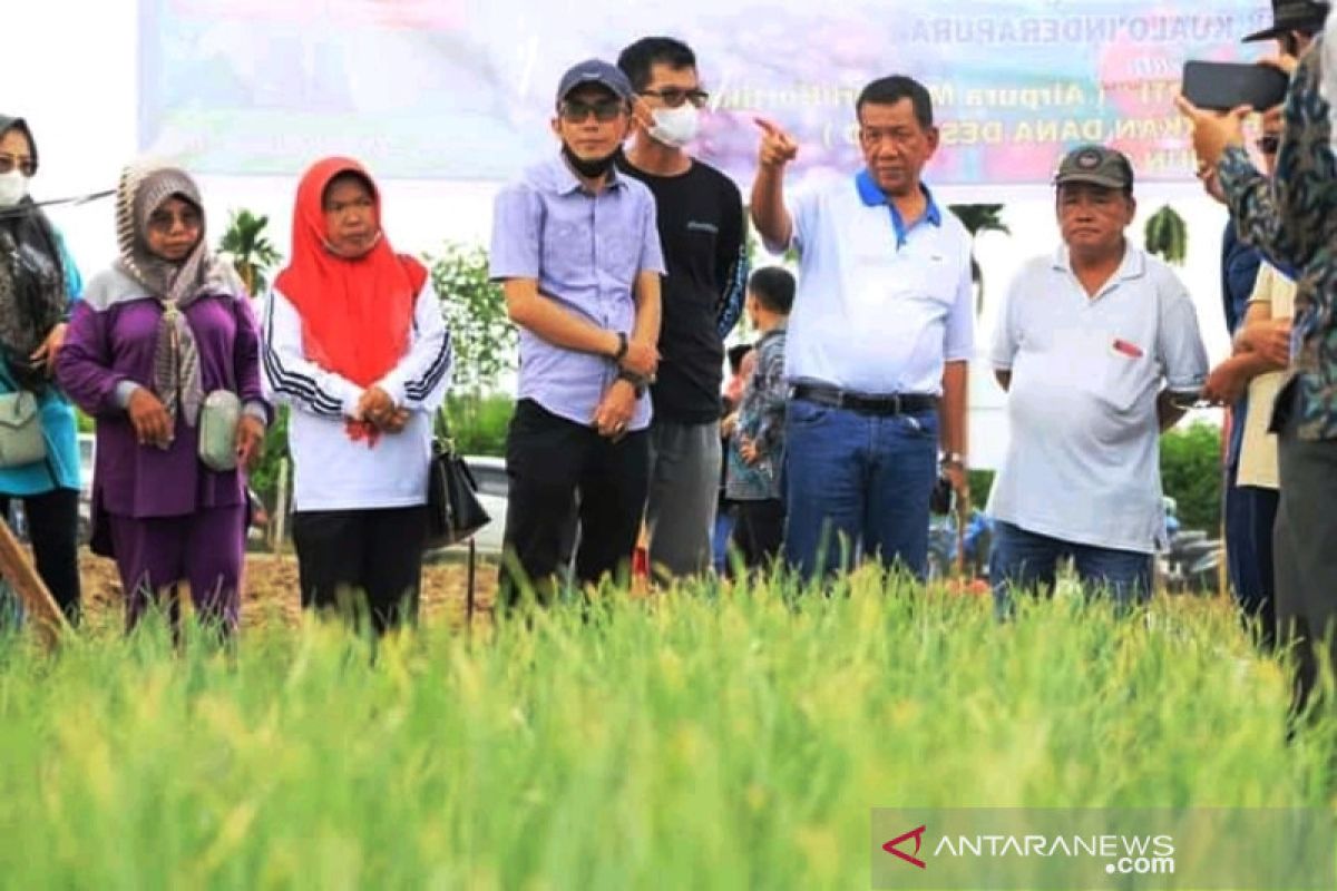 Atasi kelangkaan pupuk di Pesisir Selatan, ini langkah Bupati Rusma