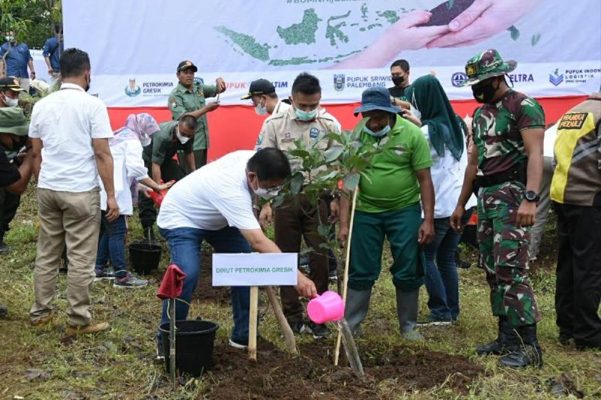 Petrokimia koordinir penanaman bibit pohon di Pasuruan dan Kota Batu