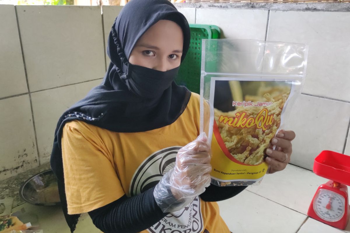 Dosen FMIPA UI beri edukasi warga Bojong Koneng kembangkan keripik jamur