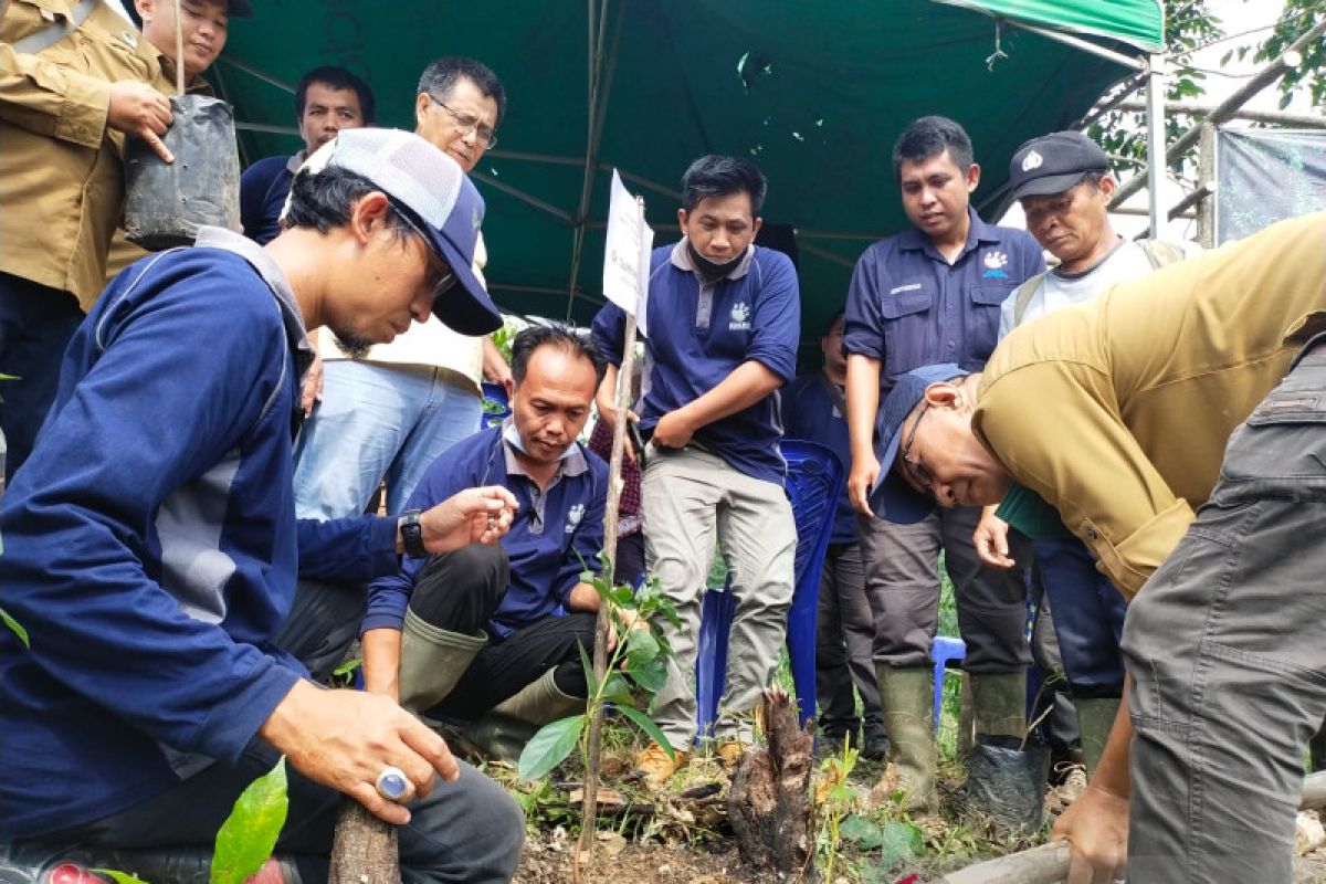 Jejak Bumi Indonesia luncurkan tempat pengelolaan HHBK