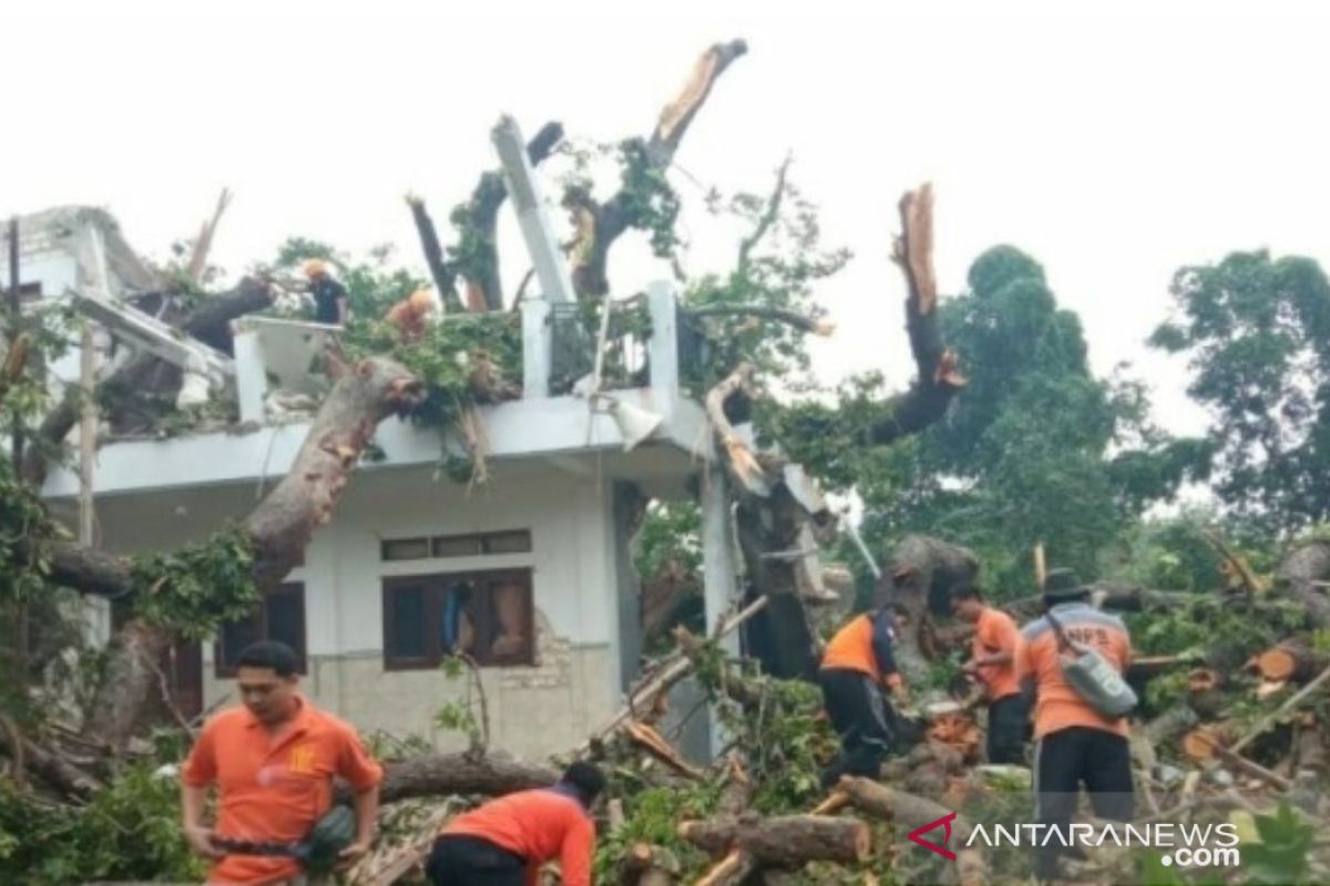 BPBD Sampang terjunkan tim ke lokasi bencana angin kencang