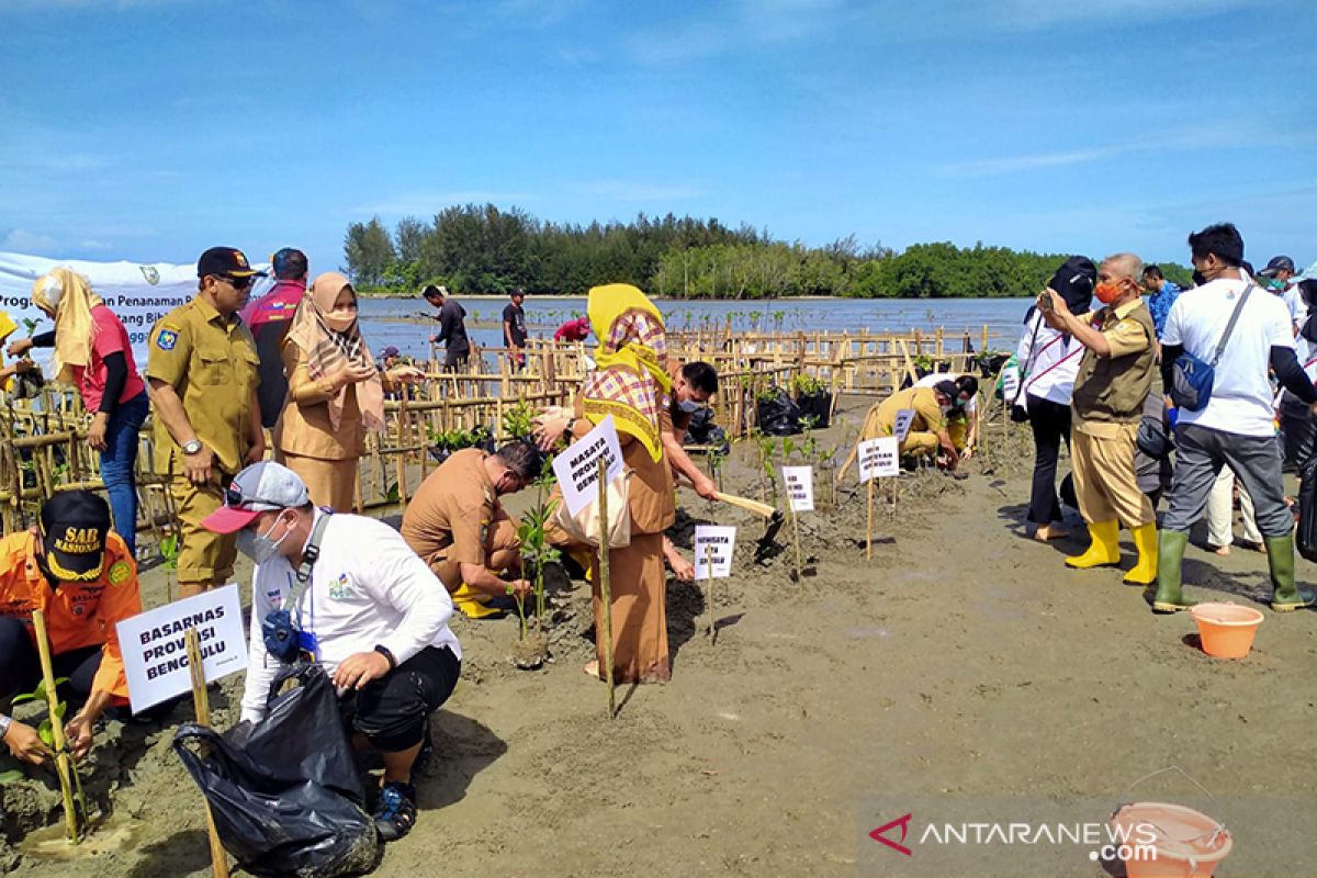 PLN Bengkulu libatkan para pihak tanam 2.000 bibit mangrove