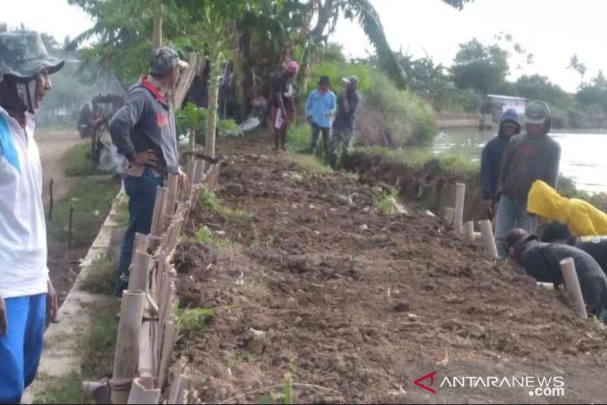 Warga Muaragembong gotong-royong perbaiki tanggul Citarum