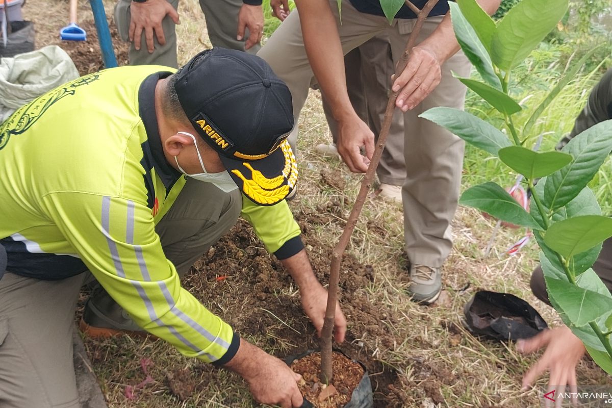 Satpol PP DKI ajak masyarakat menanam pohon