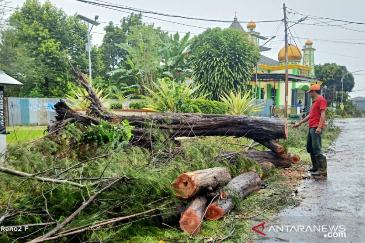 BMKG: waspadai hujan disertai angin kencang di Bengkulu