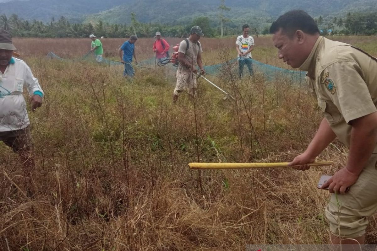 Jelang musim tanam padi, petani Muaratais Tapsel lakukan perburuan tikus