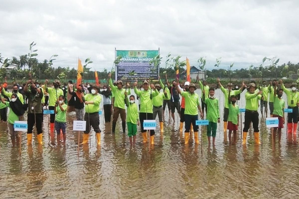 Pemkab Sukamara berharap bantuan rehabilitasi mangrove berkelanjutan