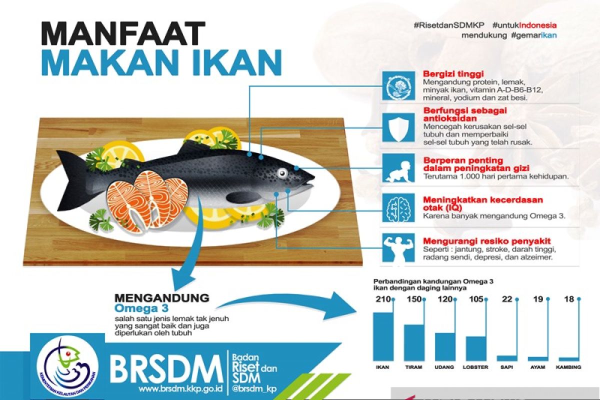 Ketua Forikan Yulce Enembe ajak warga Papua gemar makan ikan