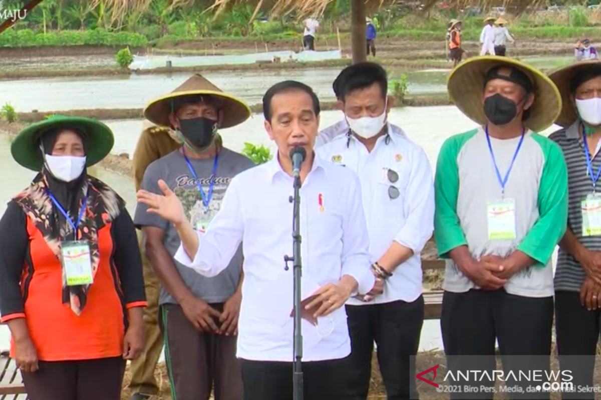 Presiden Jokowi sebut belum ada impor beras sama sekali di 2021