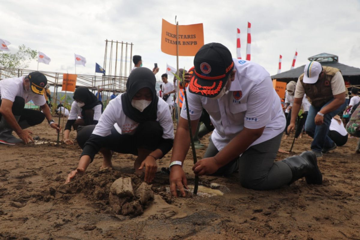 BNPB angkat konsep mitigasi bencana tsunami berbasis ekosistem