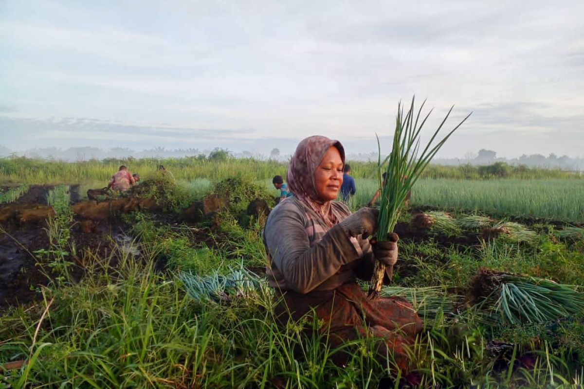 BRGM kenalkan program pertanian bagi Masyarakat Peduli Api