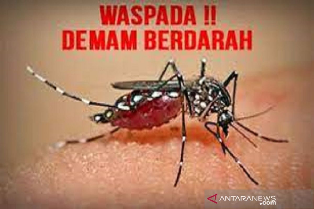 Dinkes Baubau imbau masyarakat waspada DBD pada musim hujan