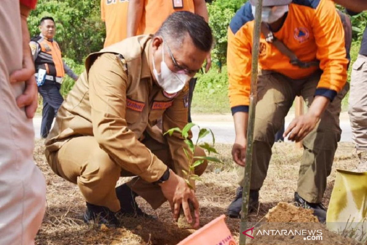 Pemkot Kendari tanam 1.000 pohon antisipasi bencana