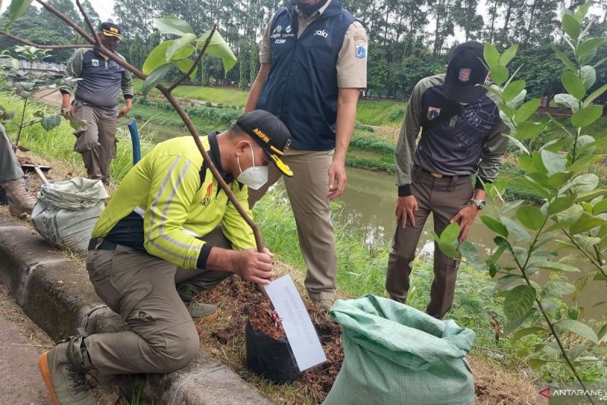 Satpol PP DKI tanam 2.000 pohon untuk hijaukan Jakarta