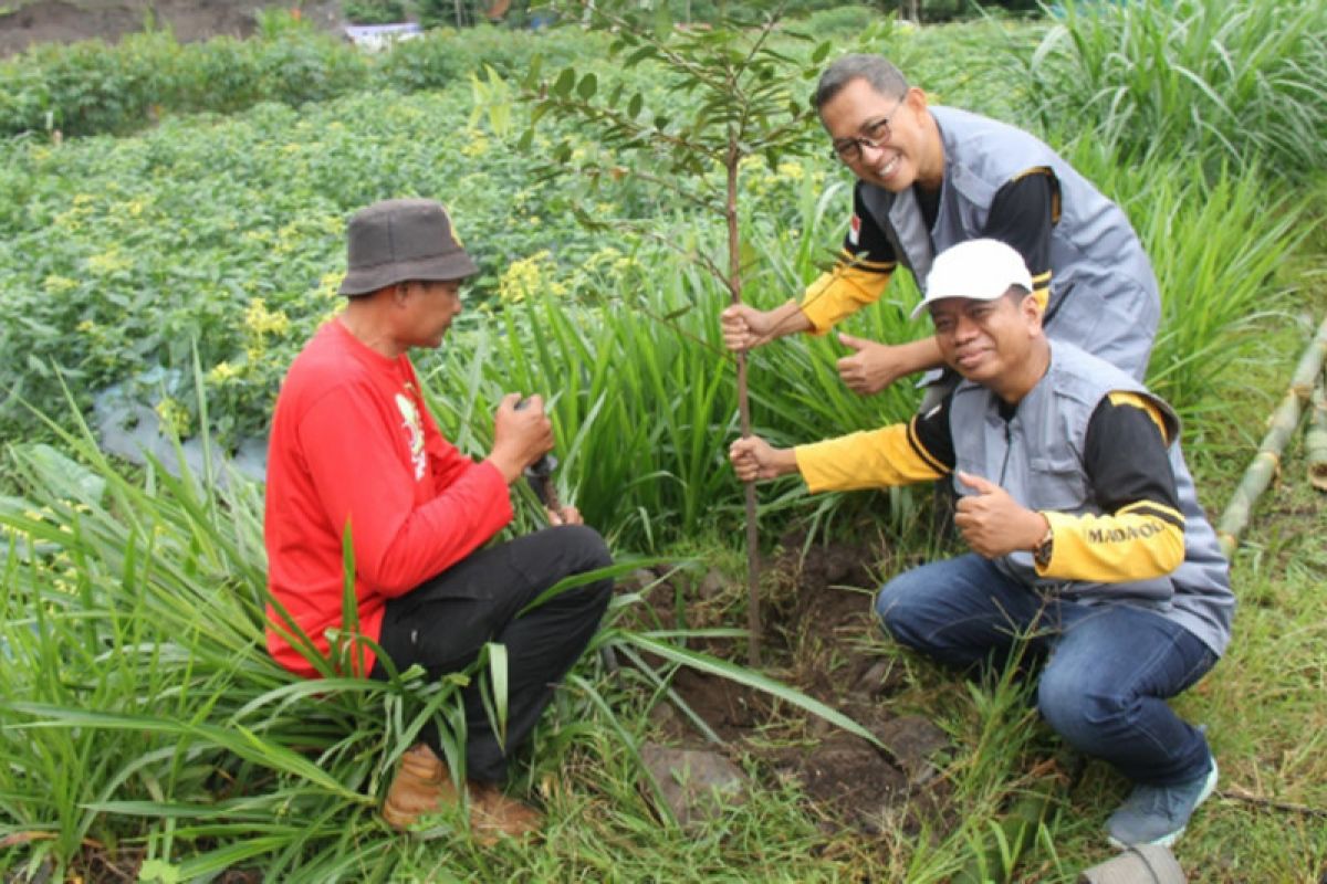 Yasmanda tanam 10.000 bibit pohon di lahan bekas tambang pasir Merapi