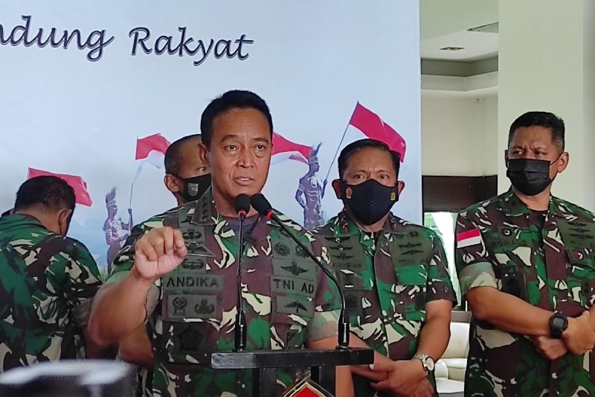 Panglima TNI akan kawal kasus pelanggaran HAM di Papua