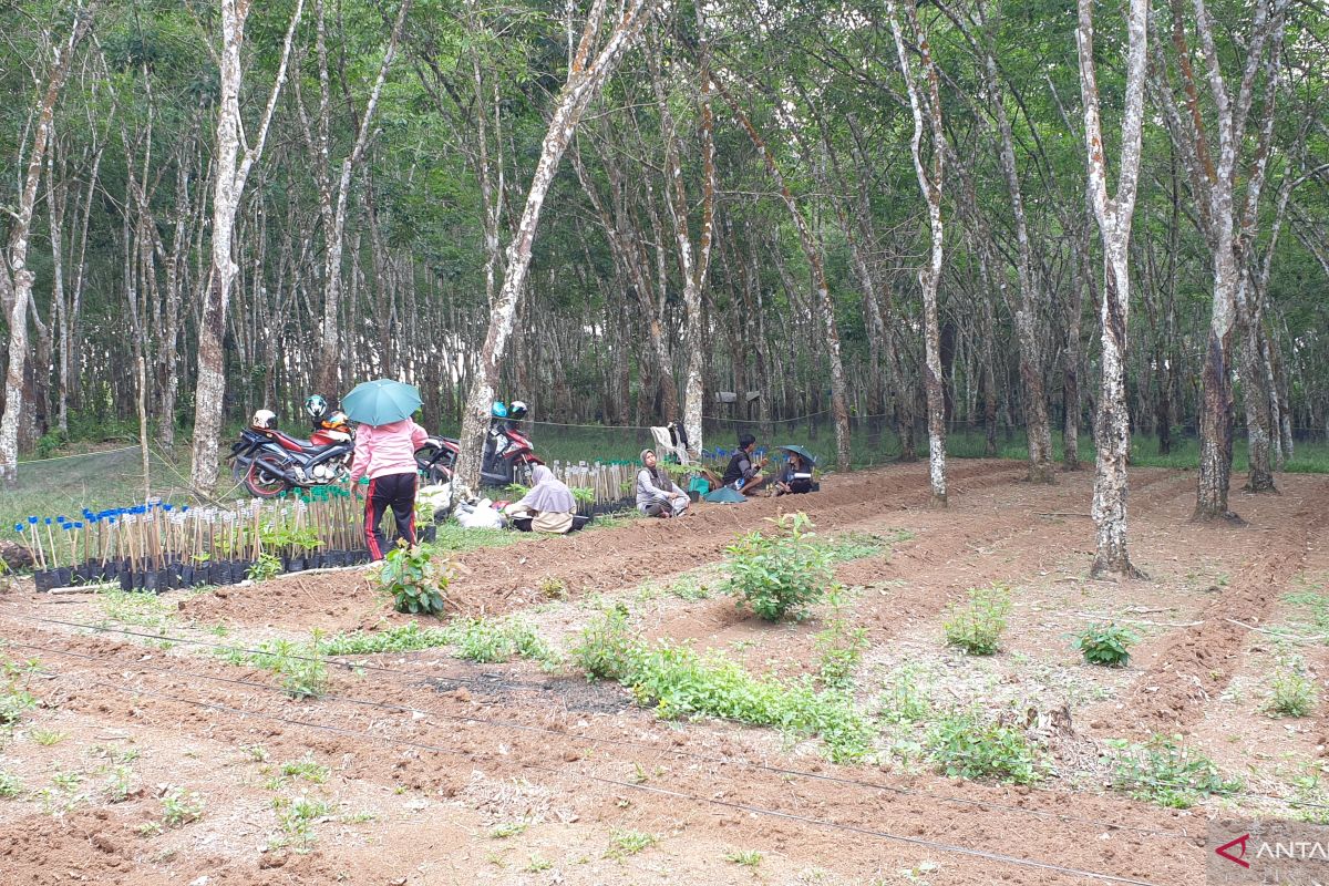 Polda Sumsel proses 33  kasus konflik agraria