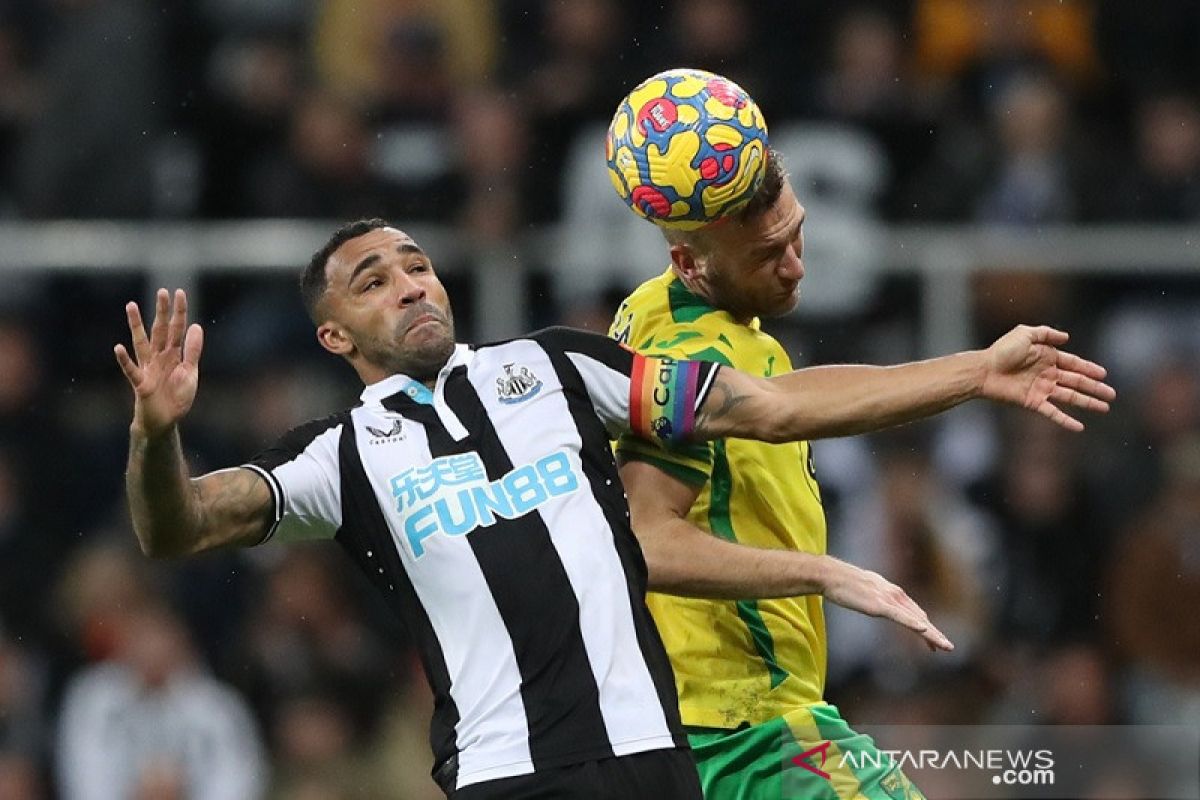 Newcastle kontra Norwich berakhir seri 1-1