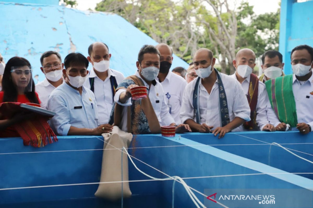 Menteri KKP: Balai benih ikan jadi lokomotif pengembangan budidaya di NTT