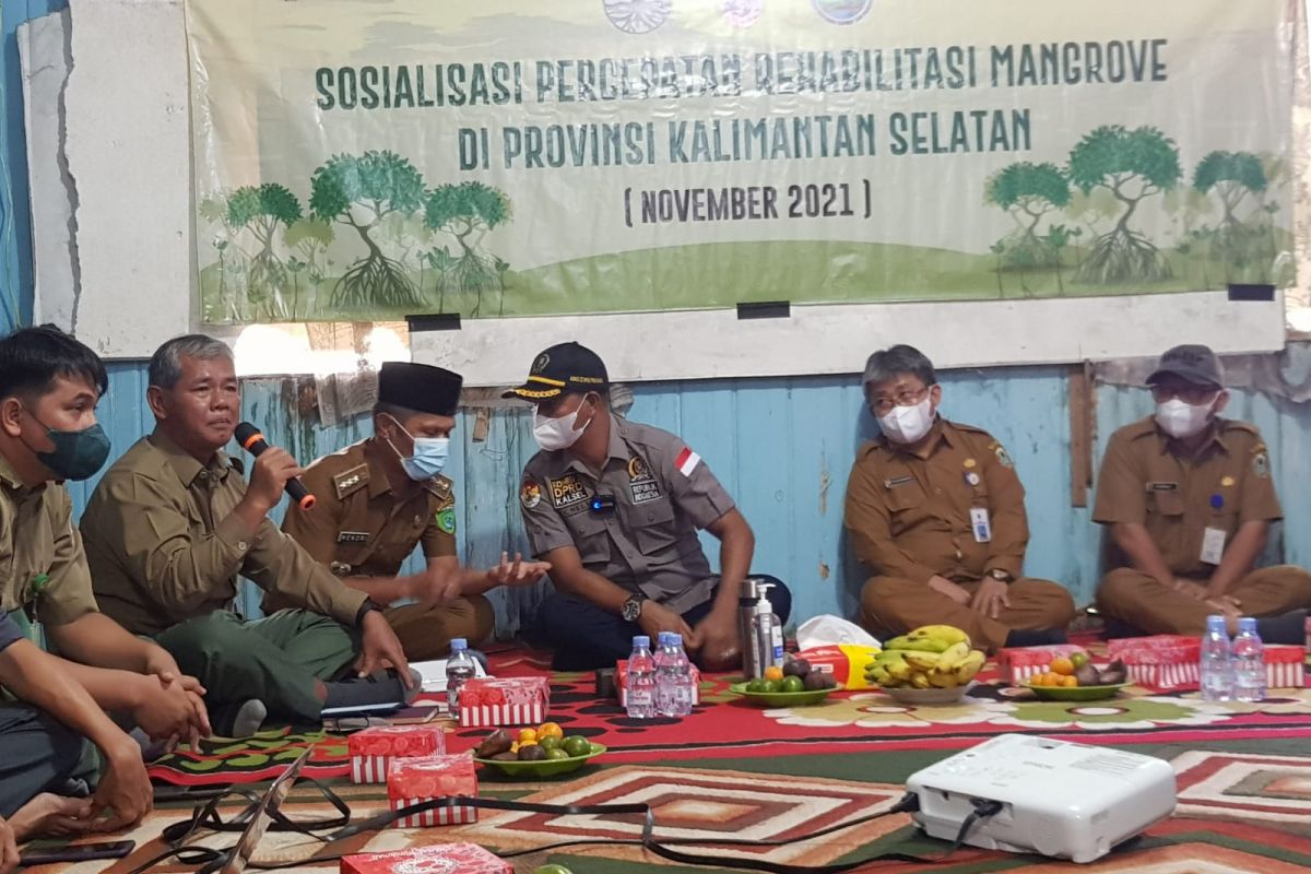 Pemerintah diminta libatkan warga pesisir kelola rehabilitasi mangrove