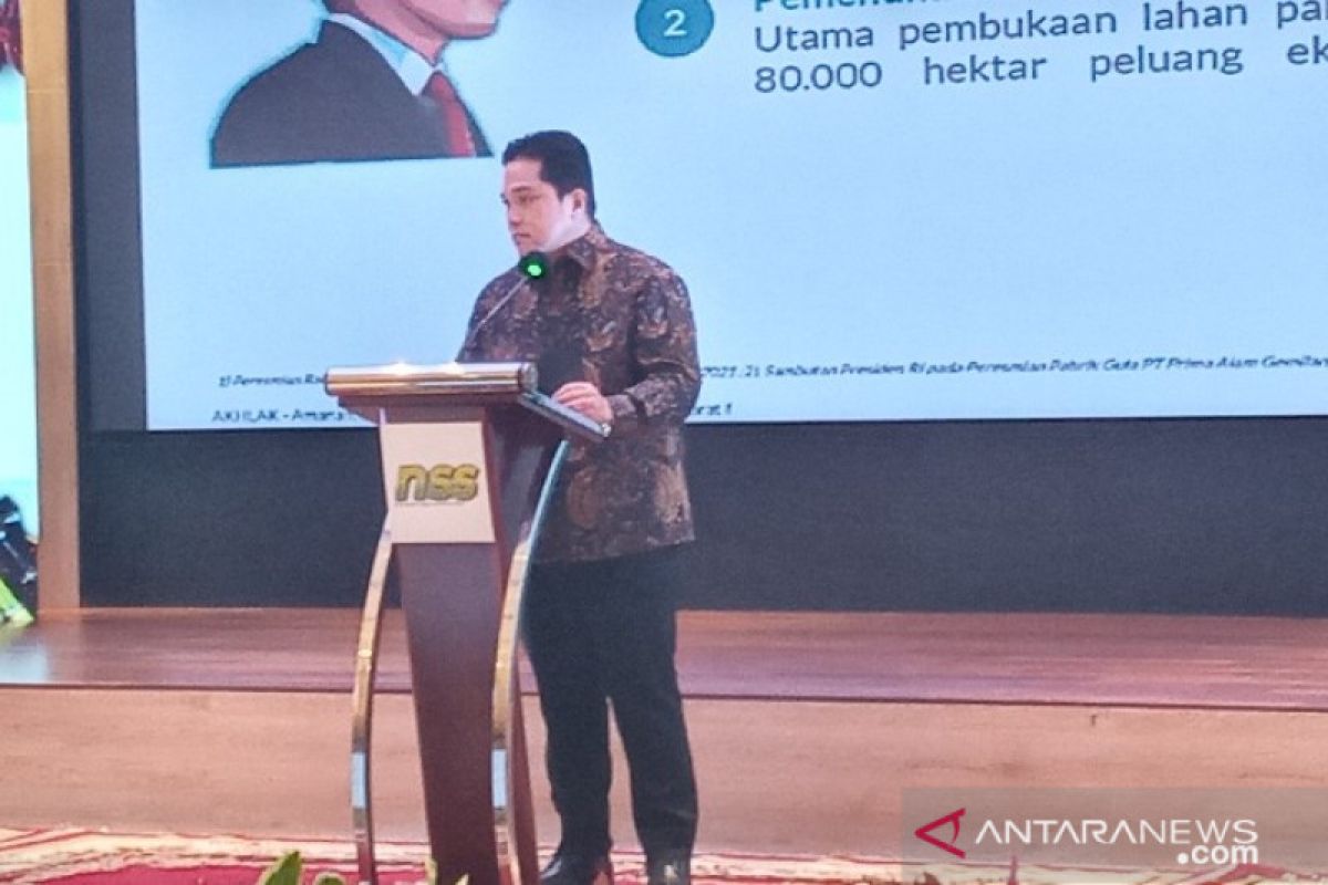 Menteri BUMN: pandemi COVID-19 telah mengganggu rantai pasokan global