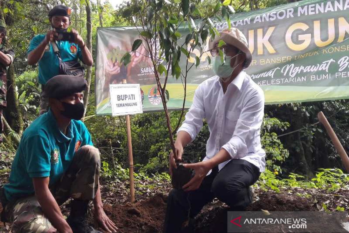 Temanggung tanam 500 ribu pohon untuk konservasi