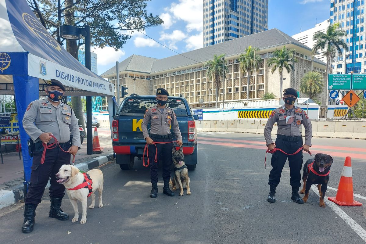 Pasukan anjing pelacak ikut amankan aksi Reuni 212