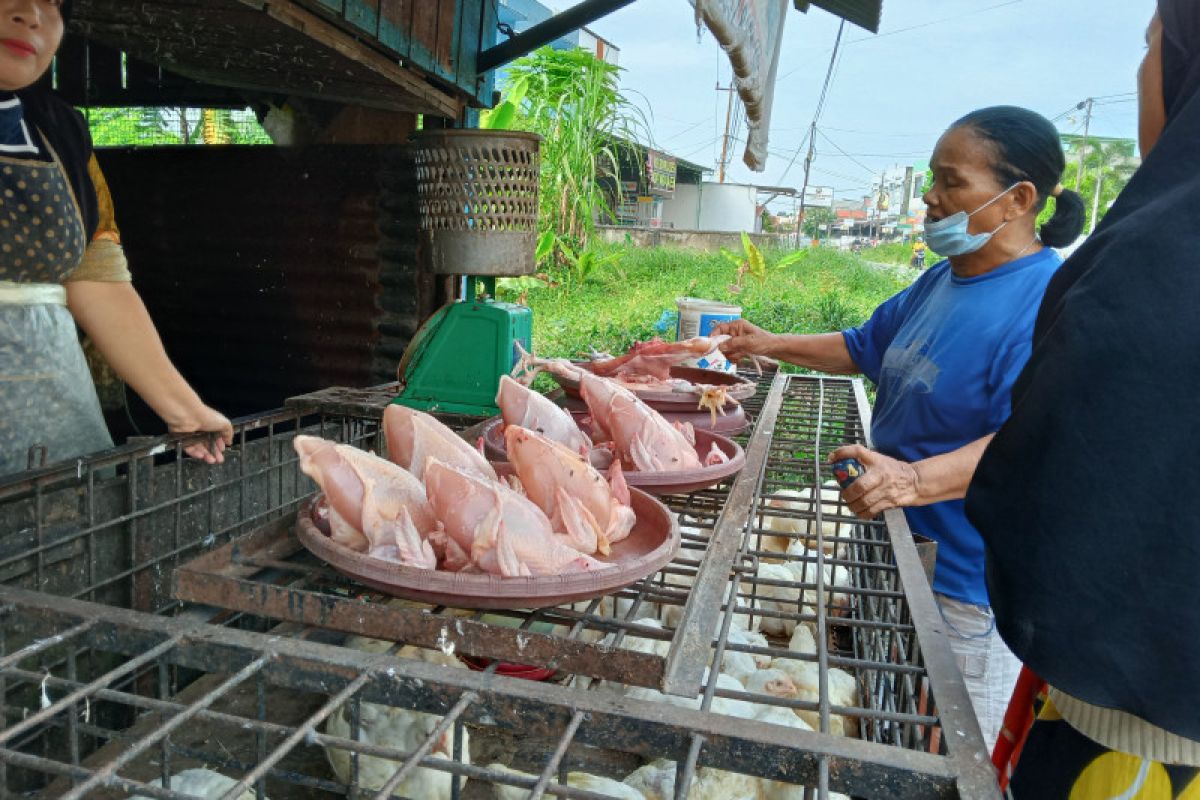 Harga ayam potong di Pekanbaru mulai naik Rp27.000 per kilogram jelang Natal