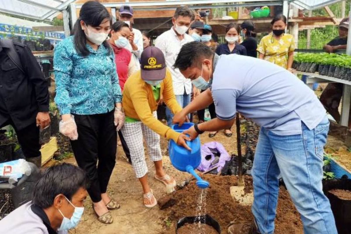 Pekarangan Pangan Lestari sasar delapan lokasi di Gumas