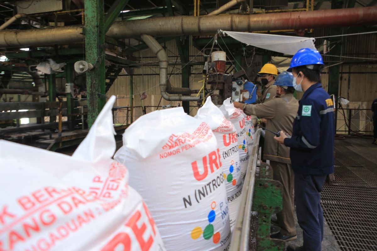 Gelar bimtek, Pupuk Indonesia dorong petani NTT terapkan pemupukan berimbang
