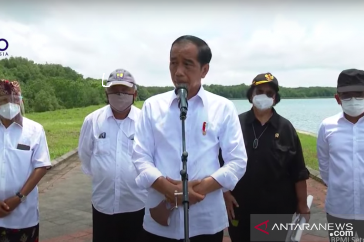 Presiden Jokowi akan ajak 20 pimpinan G20 tinjau konservasi mangrove di Bali