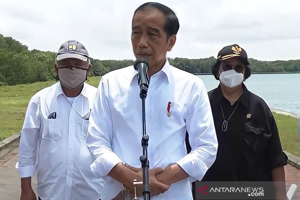 Presiden akan ajak 20 pimpinan G20 tinjau konservasi mangrove di Bali