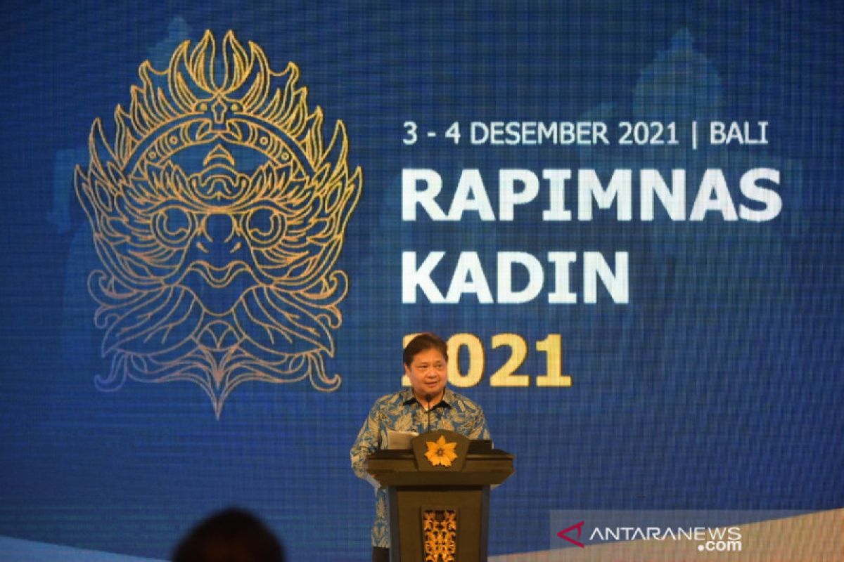 Airlangga dorong Kadin manfaatkan momentum Presidensi G20 sekaligus pelopor investasi