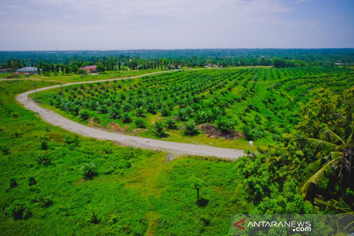 PTPN XIV-Petrokimia Gresik sosialisasikan program makmur BUMN