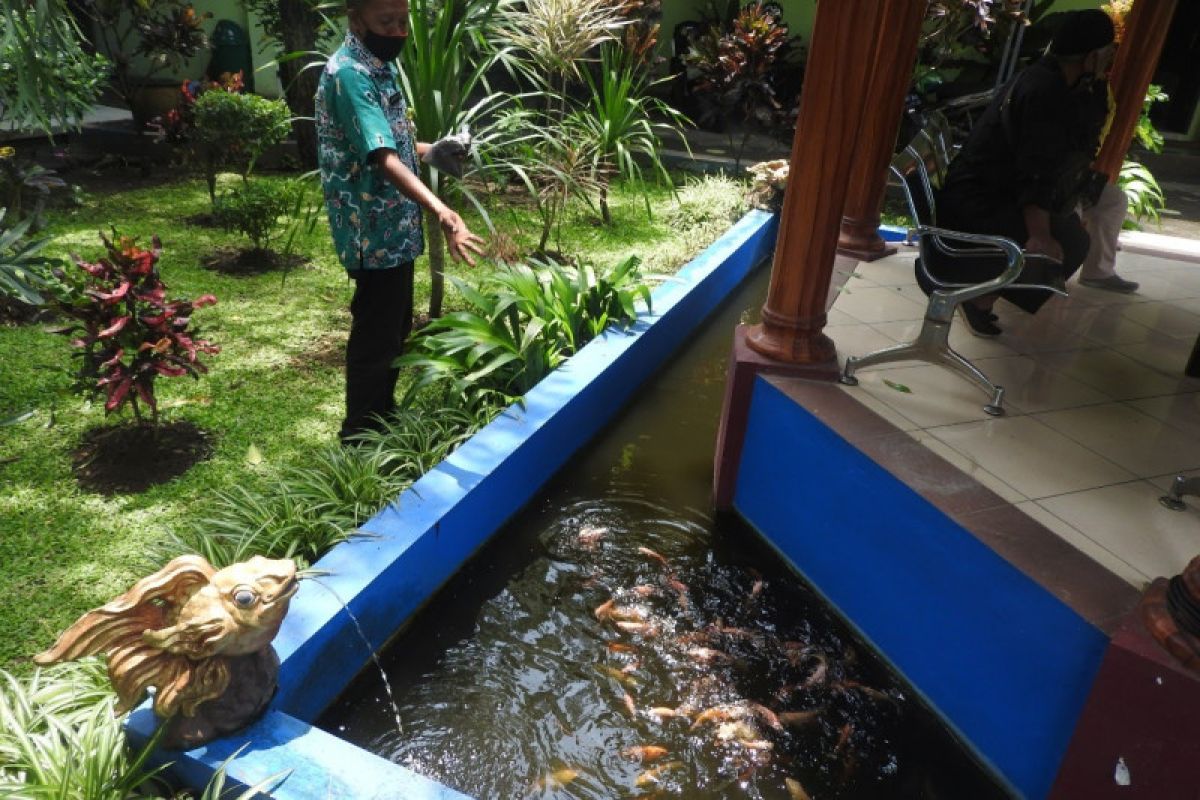 Pemkot Malang kembangkan urban farming di tingkat kecamatan