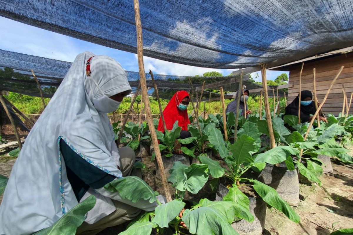 Industri hulu migas tanam 5.530 bibit pohon di Kebun Raya Sriwijaya